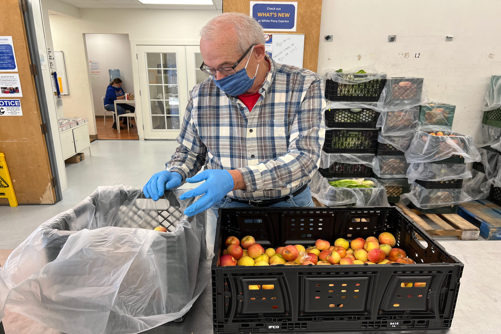 A volunteer at White Pony Express sorting food for the food bank